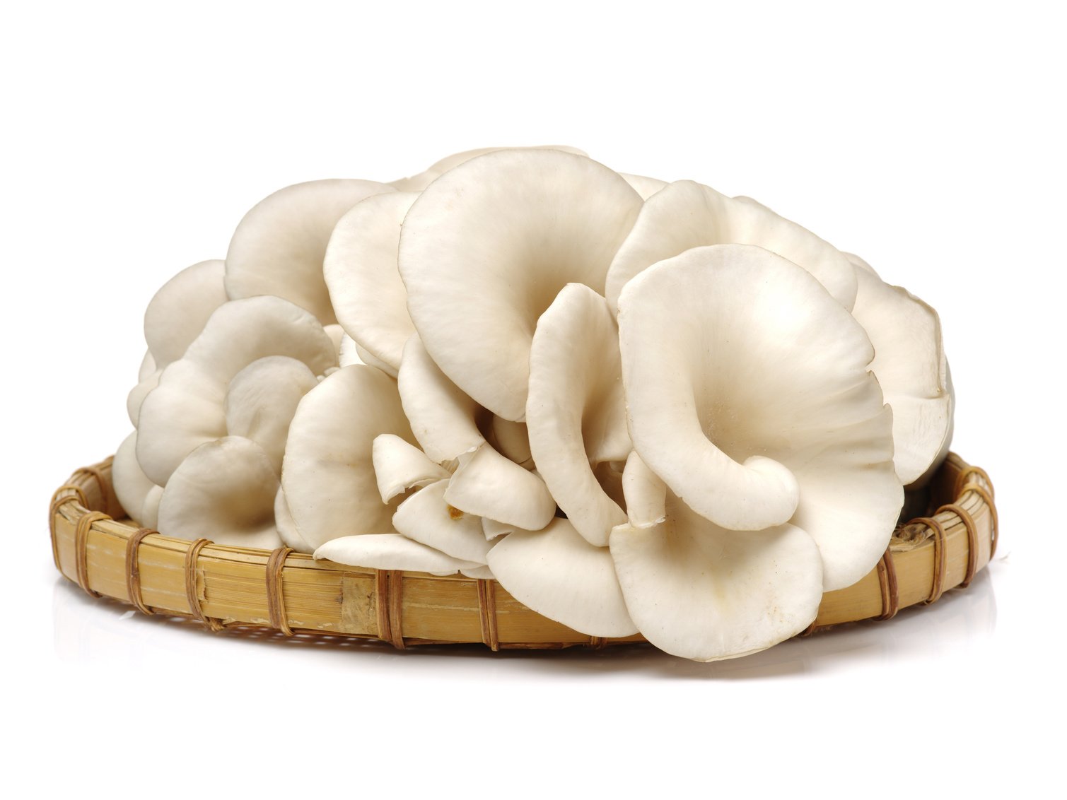 oyster mushrooms